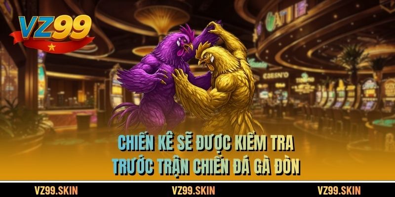 Chiến kê sẽ được kiểm tra trước trận chiến đá gà đòn